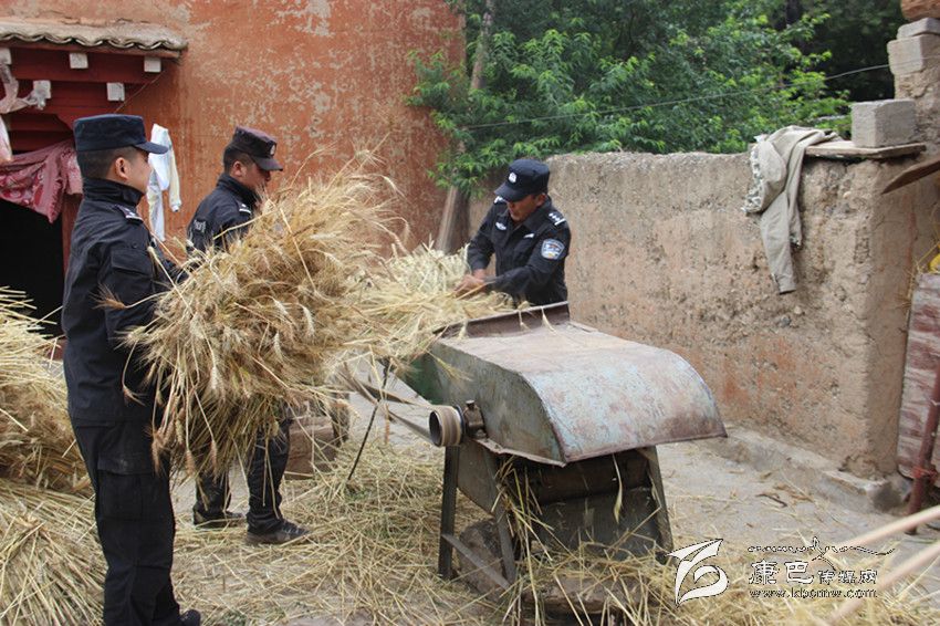 民警助農(nóng)收麥忙(康巴傳媒網(wǎng)首屆紀(jì)實攝影大賽)