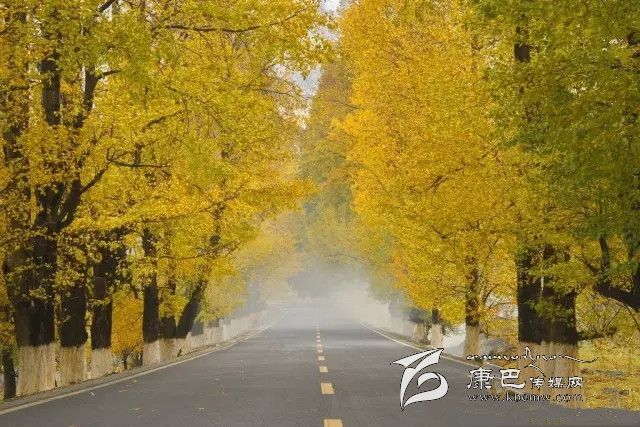 康定新都橋，有一條黃金大道通往夢中的天堂