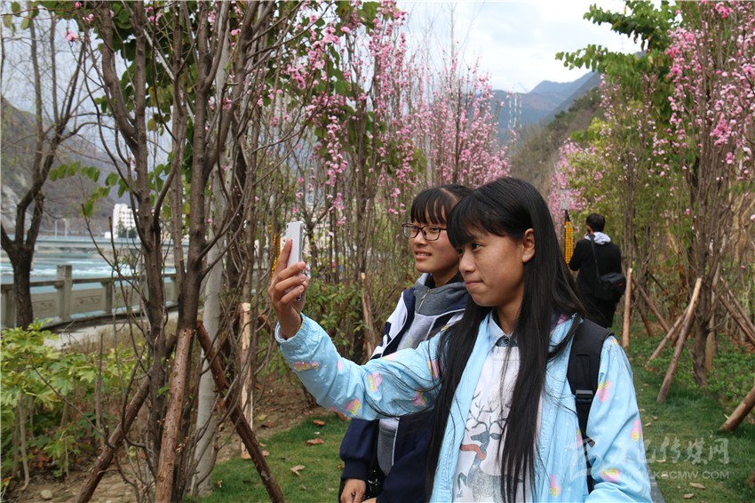 春光俏！“醉”是瀘定春三月，踏青賞花正當(dāng)時(shí)
