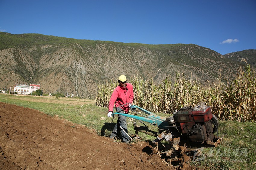田園藏鄉(xiāng)美如畫，百姓脫貧喜在心