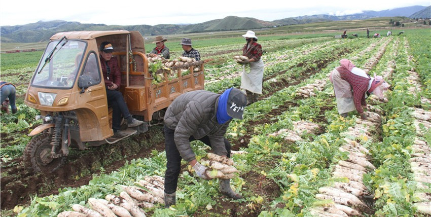 2021032307425289464.jpg 2021032307425289464.jpg