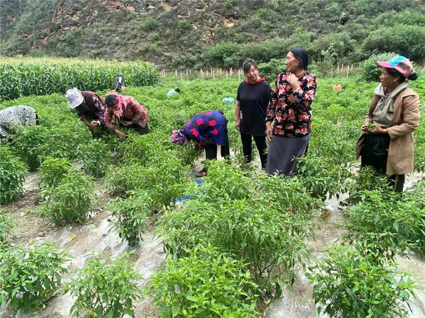 村民們.jpg 村民們.jpg