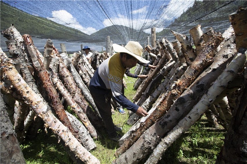 仁達(dá)鄉(xiāng).jpg 仁達(dá)鄉(xiāng).jpg