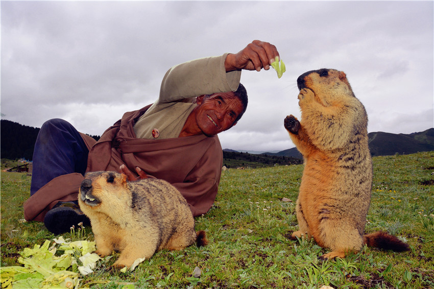 人與自然.jpg 人與自然.jpg