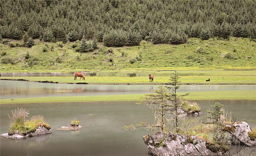 去甘孜 邂逅絕美湖泊海子！