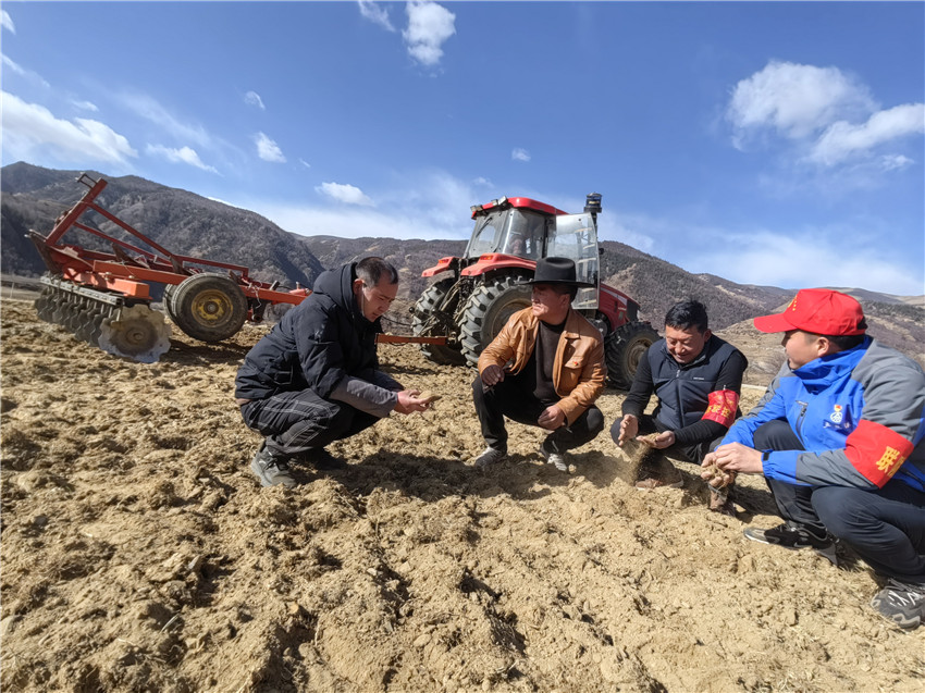 田間討論種.jpg 田間討論種.jpg